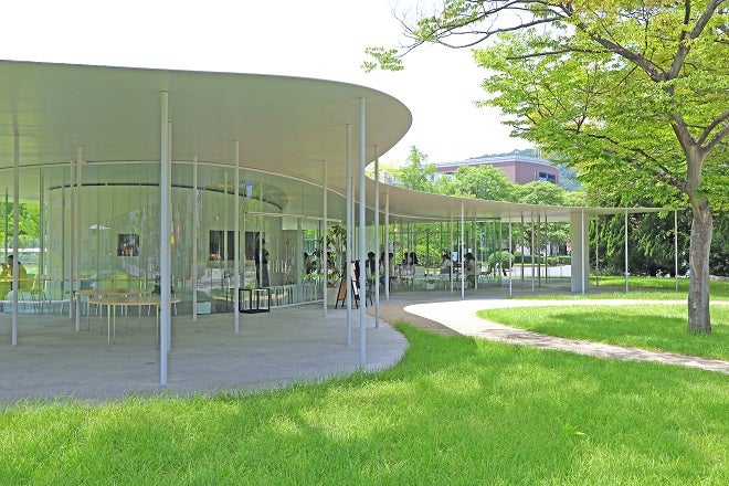 英語で学士を取れる日本の大学（2019年）岡山大学