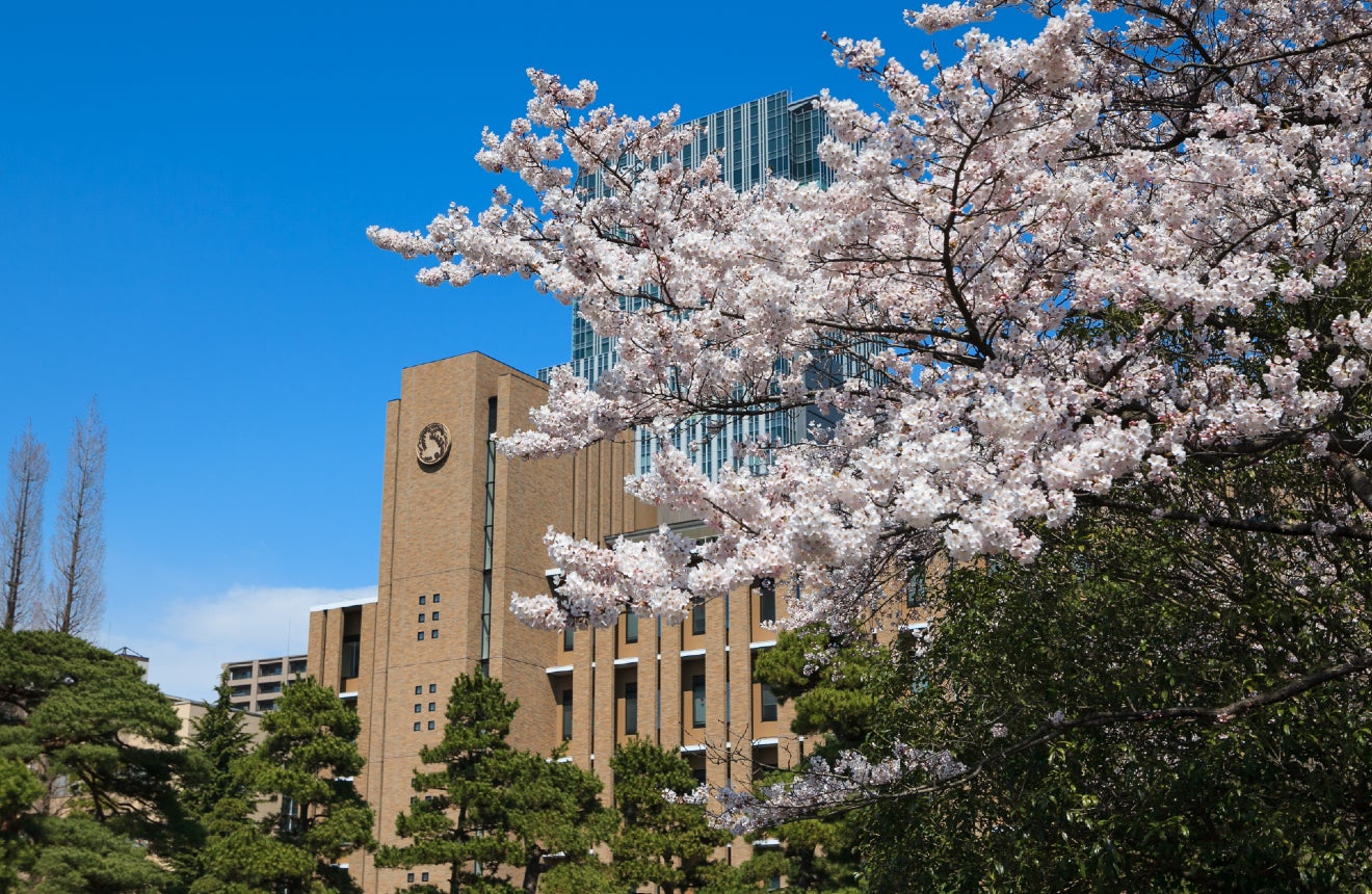 英語で学士を取れる日本の大学（2021年）東北大学